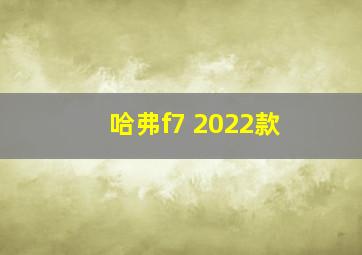 哈弗f7 2022款